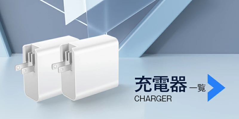 2023-03charger.jpg
